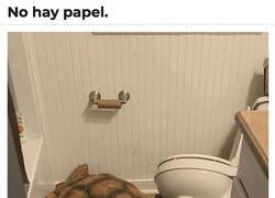 Enlace a Algo está pasando en este baño