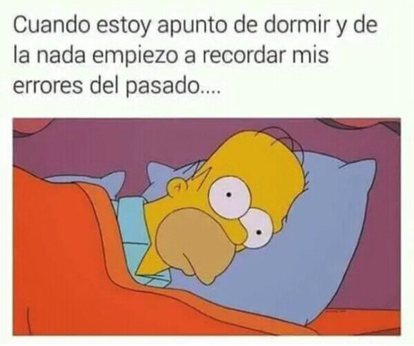 Meme_otros - La causa de mi insomnio