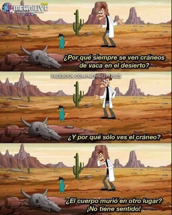 Meme_otros - Pues tiene razón