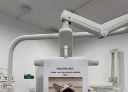 Enlace a Mi dentista usa memes