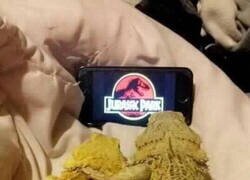Enlace a Disfrutando de su peli favorita