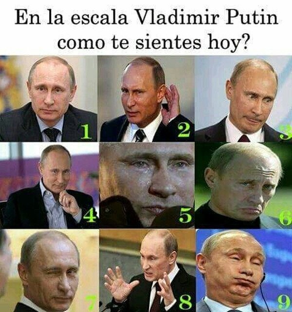 Meme_otros - ¿Qué Putin te sientes hoy?