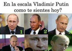 Enlace a ¿Qué Putin te sientes hoy?