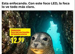 Enlace a Lidl sigue con su publicidad avanzada