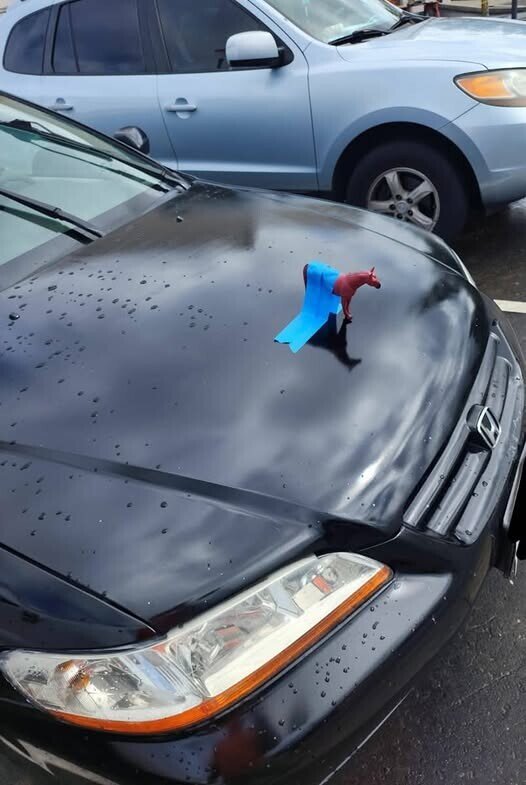 Meme_mix - Estrenando mi Ford Mustang
