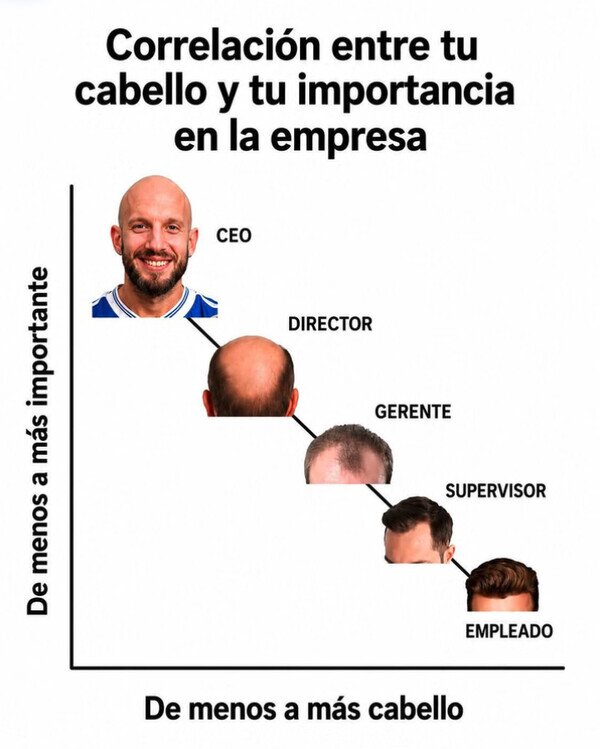 Meme_otros - Cuánto menos pelo, más importancia