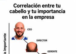 Enlace a Cuánto menos pelo, más importancia