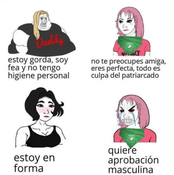 Meme_otros - Feminismo mal