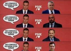 Enlace a La saga continúa