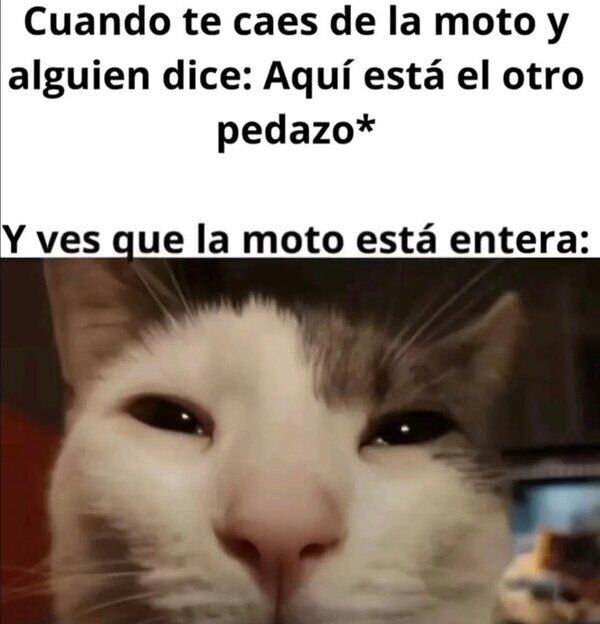 Meme_otros - ¿Hueles eso? Es el miedo