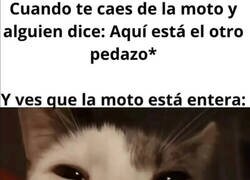 Enlace a ¿Hueles eso? Es el miedo