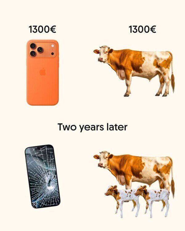 Meme_otros - No sé tú, pero yo me quedo con la vaca