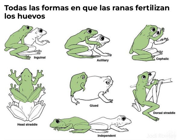 Otros - La información que necesitabas