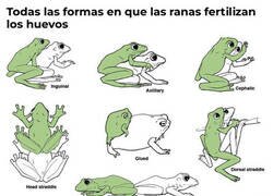 Enlace a La información que necesitabas