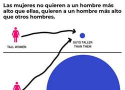 Enlace a ¿Qué quieren las mujeres?
