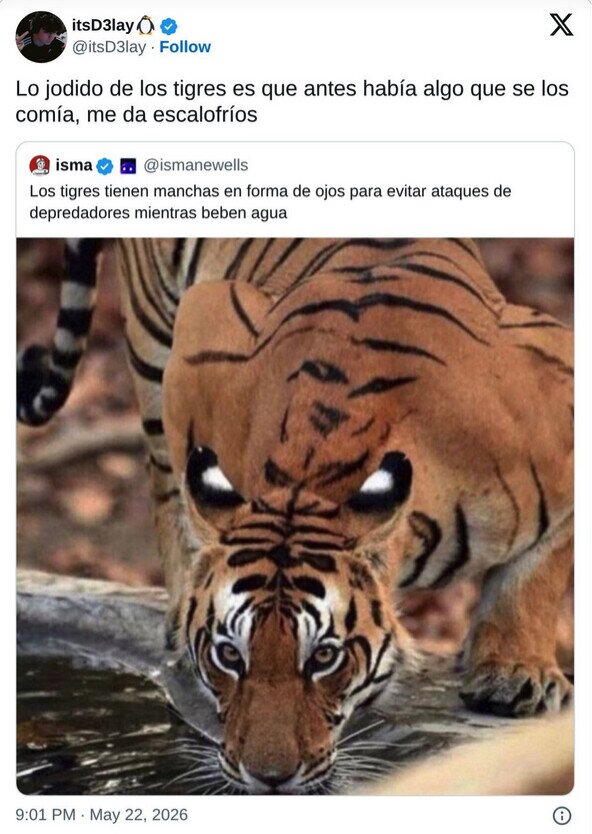 ¿Qué depredador tenía el tigre? ojos,pelaje,tigre,depredador