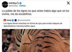 Enlace a ¿Qué depredador tenía el tigre?