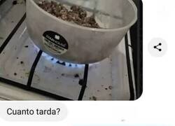 Enlace a De los errores se aprende