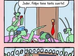 Enlace a Felipe ha triunfado