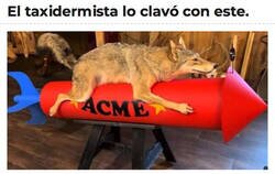 Enlace a Ha clavado al Coyote