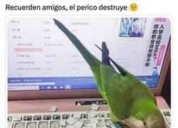 Enlace a El consejo que les traigo