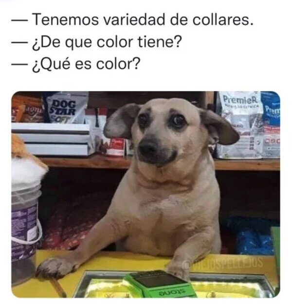 Otros - El perro vendedor