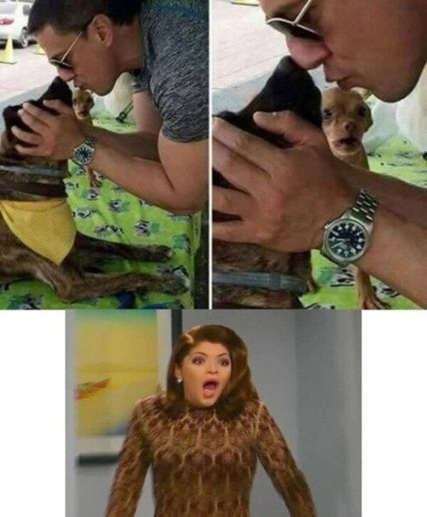Meme_otros - Tu perro cuando das mimos a otro perro