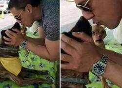 Enlace a Tu perro cuando das mimos a otro perro