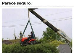Enlace a Jardinero nivel experto