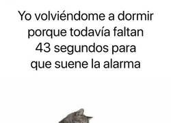 Enlace a Se aprovechan