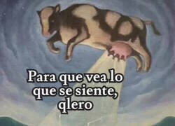 Enlace a En un mundo paralelo...