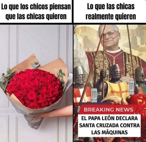 Meme_otros - Lo que quieren las chicas