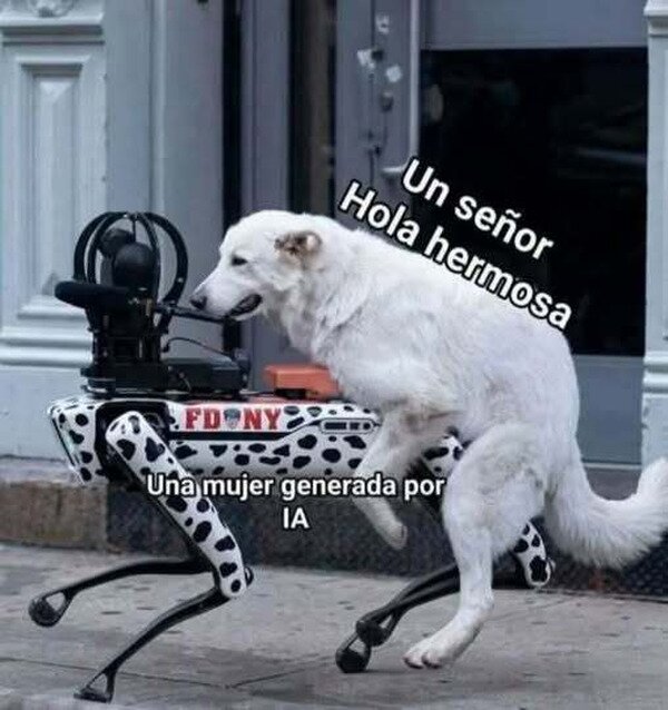 Meme_otros - Señor, por favor...
