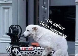 Enlace a Señor, por favor...
