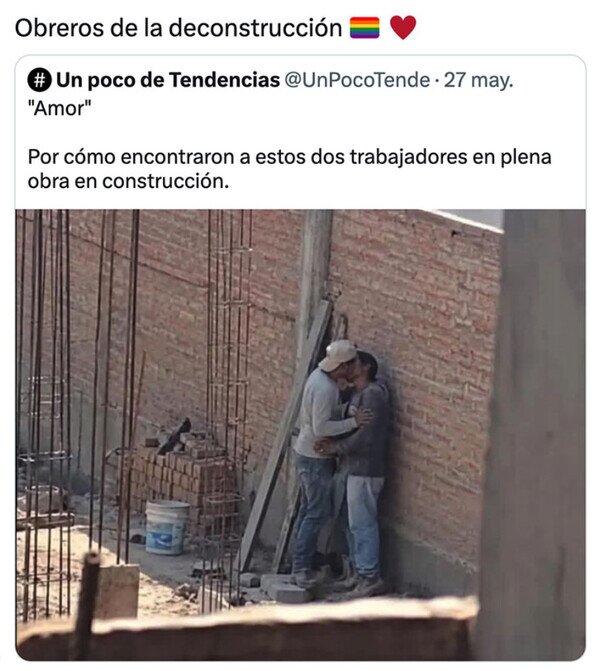Meme_otros - Entre ladrillo y ladrillo, surgió el amor