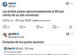 Enlace a Métete en tu vida