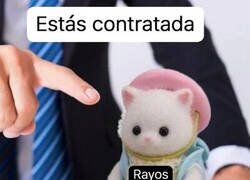 Enlace a Se supone que debería alegrarse...