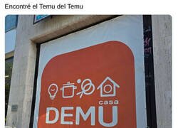 Enlace a Primeras calidades