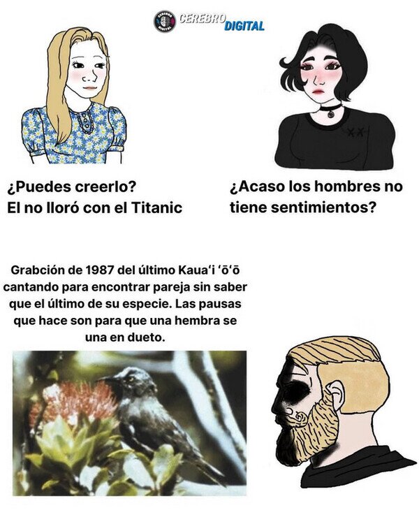 Meme_otros - Lo más triste que recuerdo
