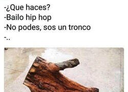 Enlace a El tronco que baila hip hop