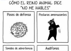 Enlace a No siempre se captan las señales