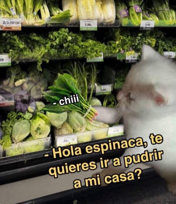 Meme_otros - Para esto compro yo verduras