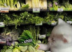 Enlace a Para esto compro yo verduras