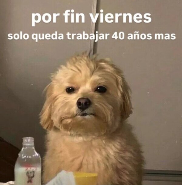 Meme_otros - Ya casi lo tenemos