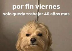 Enlace a Ya casi lo tenemos