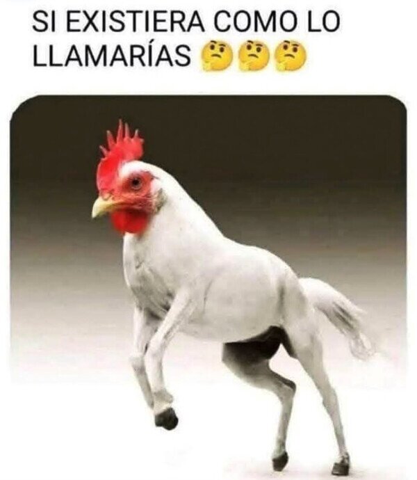Meme_otros - Una caballina