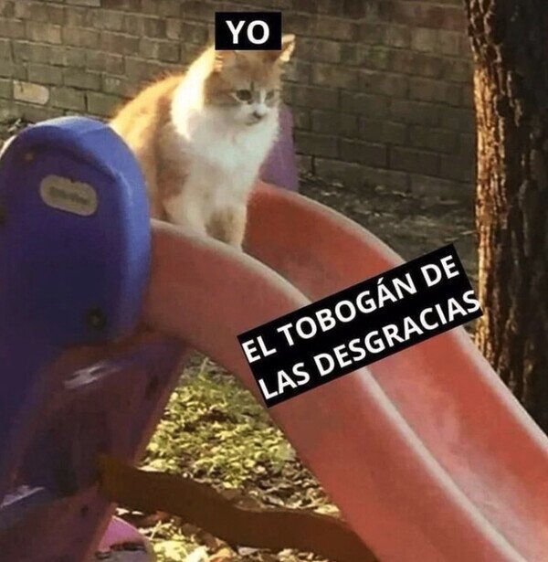 Meme_otros - Me subo una y otra vez