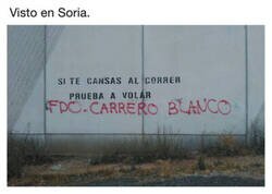 Enlace a No hombre no...