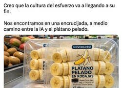 Enlace a Para los que no se lo puedan pelar y cortar solitos