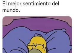 Enlace a No hay mejor sensación